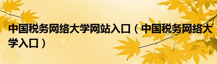 中国税务网络大学网站入口(中国税务网络大学入口)