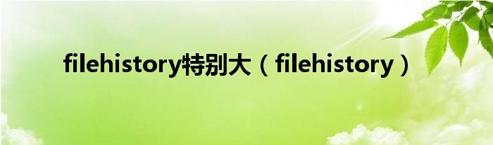 filehistory特别大(filehistory)