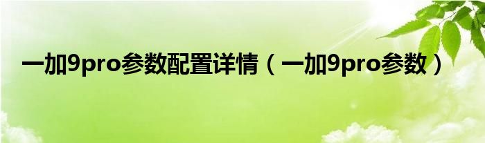 一加9pro参数配置详情(一加9pro参数)