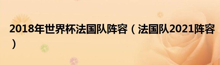 2018年世界杯法国队阵容(法国队2021阵容)