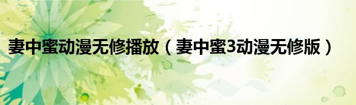 妻中蜜动漫无修播放(妻中蜜3动漫无修版)