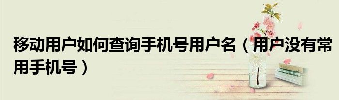 移动用户如何查询手机号用户名(用户没有常用手机号)