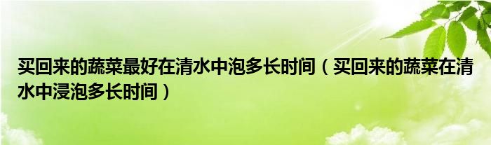 买回来的蔬菜最好在清水中泡多长时间(买回来的蔬菜在清水中浸泡多长时间)