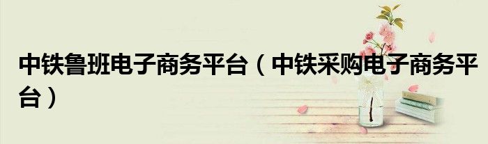 中铁鲁班电子商务平台(中铁采购电子商务平台)