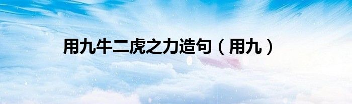 用九牛二虎之力造句(用九)