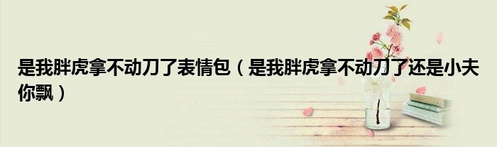 是我胖虎拿不动刀了表情包(是我胖虎拿不动刀了还是小夫你飘)