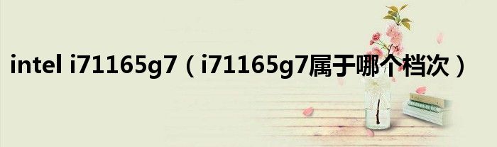 intel i71165g7(i71165g7属于哪个档次)