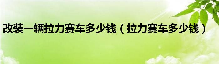 改装一辆拉力赛车多少钱(拉力赛车多少钱)