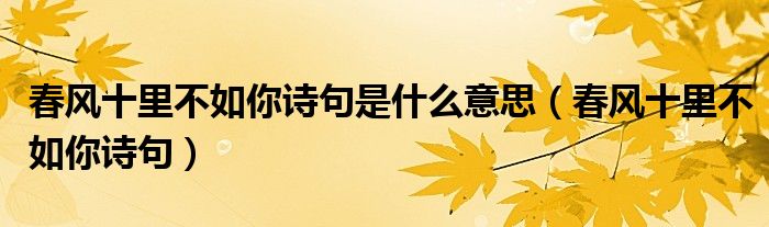 春风十里不如你诗句是什么意思(春风十里不如你诗句)