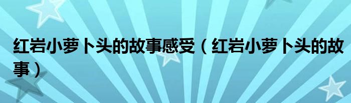 红岩小萝卜头的故事感受(红岩小萝卜头的故事)