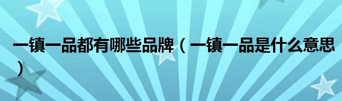 一镇一品都有哪些品牌(一镇一品是什么意思)