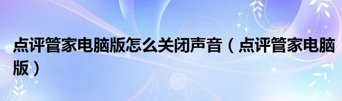 点评管家电脑版怎么关闭声音(点评管家电脑版)