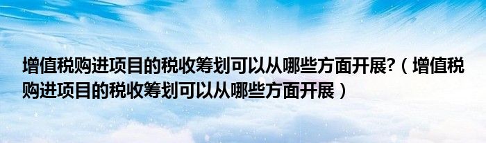 增值税购进项目的税收筹划可以从哪些方面开展?(增值税购进项目的税收筹划可以从哪些方面开展)