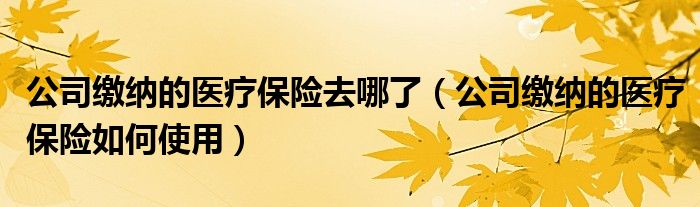 公司缴纳的医疗保险去哪了(公司缴纳的医疗保险如何使用)