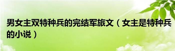 男女主双特种兵的完结军旅文(女主是特种兵的小说)