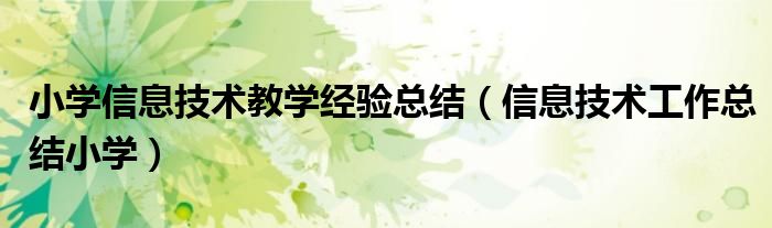 小学信息技术教学经验总结(信息技术工作总结小学)