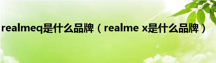 realmeq是什么品牌(realme x是什么品牌)