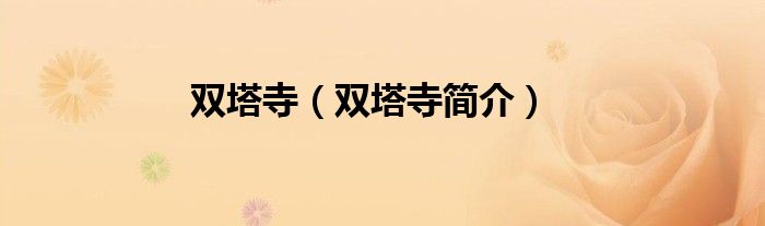 双塔寺（双塔寺简介）