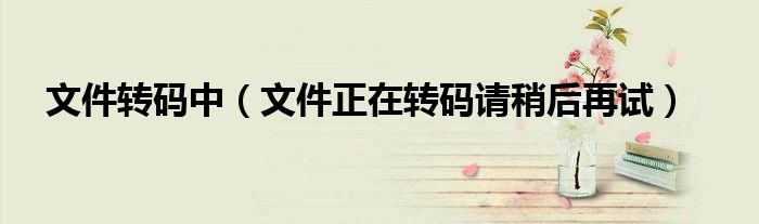 文件转码中(文件正在转码请稍后再试)