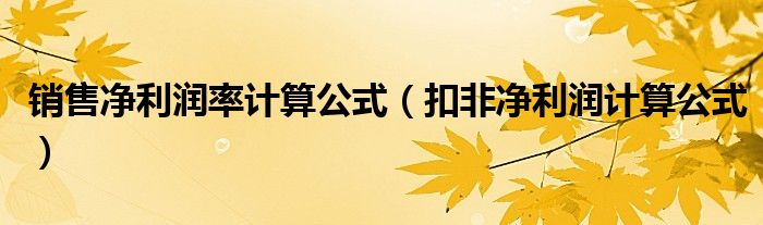 销售净利润率计算公式(扣非净利润计算公式)