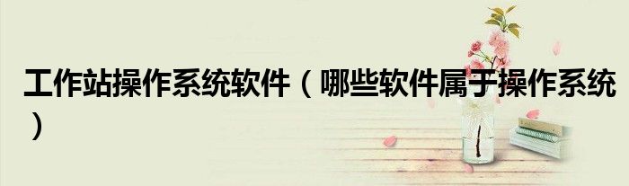 工作站操作系统软件(哪些软件属于操作系统)