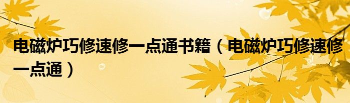 电磁炉巧修速修一点通书籍(电磁炉巧修速修一点通)