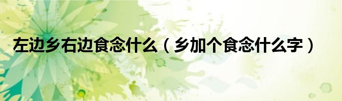 左边乡右边食念什么(乡加个食念什么字)