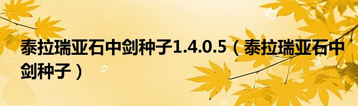 泰拉瑞亚石中剑种子1.4.0.5(泰拉瑞亚石中剑种子)