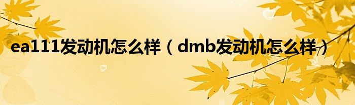 ea111发动机怎么样（dmb发动机怎么样）