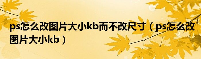 ps怎么改图片大小kb而不改尺寸(ps怎么改图片大小kb)