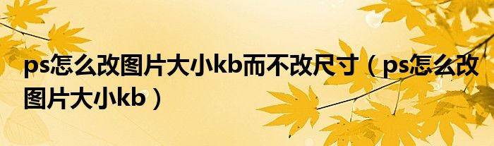 ps怎么改图片大小kb而不改尺寸（ps怎么改图片大小kb）