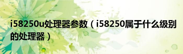 i58250u处理器参数（i58250属于什么级别的处理器）