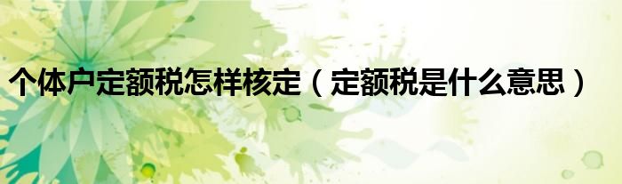 个体户定额税怎样核定(定额税是什么意思)