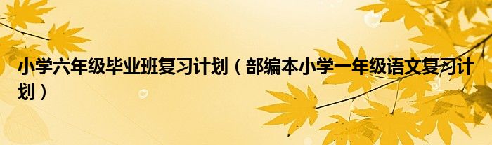 小学六年级毕业班复习计划(部编本小学一年级语文复习计划)