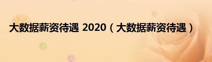 大数据薪资待遇 2020（大数据薪资待遇）