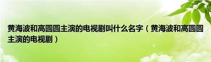 黄海波和高圆圆主演的电视剧叫什么名字(黄海波和高圆圆主演的电视剧)