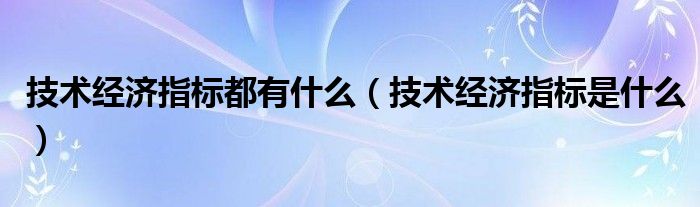 技术经济指标都有什么(技术经济指标是什么)
