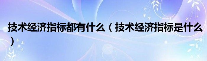 技术经济指标都有什么（技术经济指标是什么）