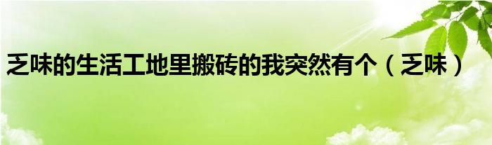 乏味的生活工地里搬砖的我突然有个(乏味)