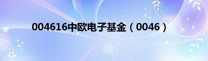 004616中欧电子基金(0046)