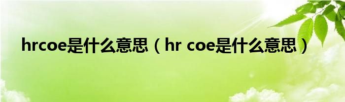 hrcoe是什么意思(hr coe是什么意思)