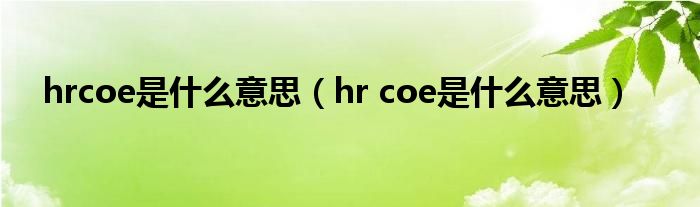 hrcoe是什么意思（hr coe是什么意思）