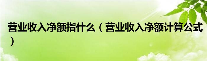 营业收入净额指什么(营业收入净额计算公式)