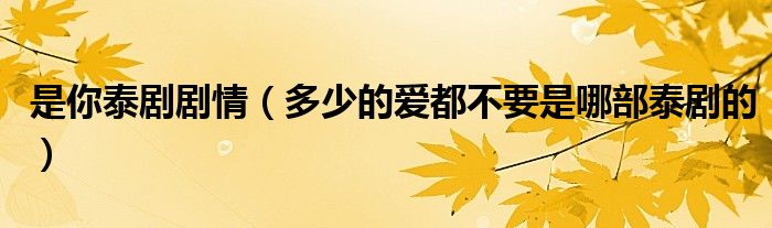 是你泰剧剧情(多少的爱都不要是哪部泰剧的)