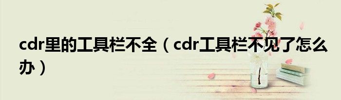 cdr里的工具栏不全(cdr工具栏不见了怎么办)