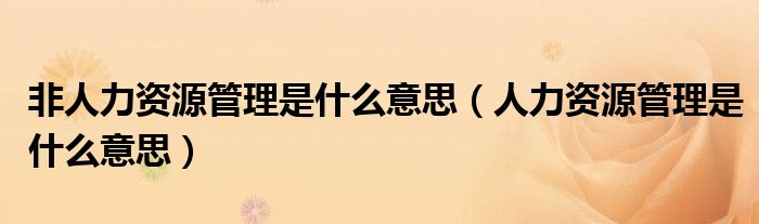 非人力资源管理是什么意思(人力资源管理是什么意思)