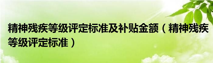 精神残疾等级评定标准及补贴金额（精神残疾等级评定标准）