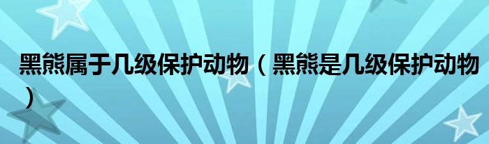 黑熊属于几级保护动物(黑熊是几级保护动物)