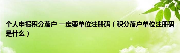 个人申报积分落户 一定要单位注册码(积分落户单位注册码是什么)