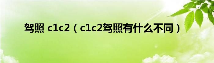 驾照 c1c2(c1c2驾照有什么不同)